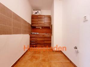 Pronájem bytu 1+kk, Havířov - Město, Hlavní třída, 20 m2