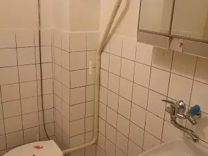 Pronájem bytu 1+1, Rakovník, Vrchlického nám., 34 m2