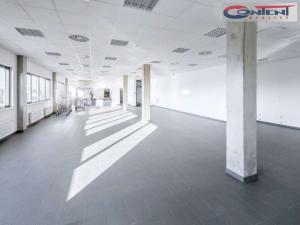 Pronájem výrobních prostor, Ledce, 11800 m2