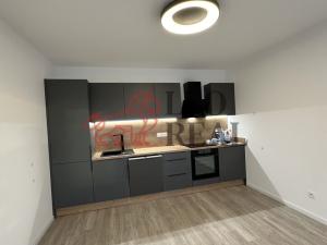 Pronájem bytu 2+kk, Karlovy Vary - Rybáře, Sedlecká, 56 m2