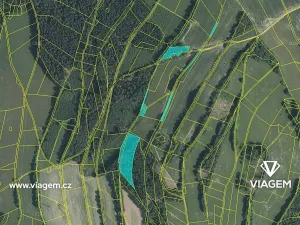 Prodej podílu lesa, Roztoky u Semil, 6000 m2