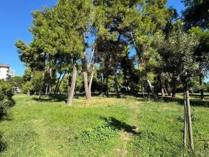 Prodej bytu 2+kk, Via Tevere, 65015 Montesilvano PE, Itálie, 50 m2