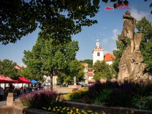 Prodej bytu 2+kk, Beroun, okres beroun, Na Máchovně, 55 m2