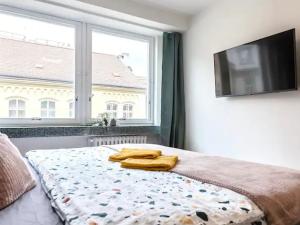 Pronájem bytu 2+kk, Praha - Staré Město, Dlouhá, 55 m2