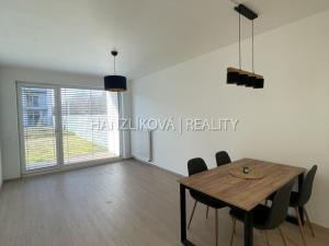 Pronájem bytu 2+kk, České Budějovice, Branišovská, 52 m2