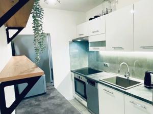 Pronájem bytu 2+kk, Kladno - Kročehlavy, Holandská, 54 m2