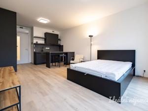 Pronájem bytu 1+kk, Praha - Žižkov, Šrámkové, 36 m2