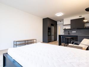 Pronájem bytu 1+kk, Praha - Žižkov, Šrámkové, 36 m2