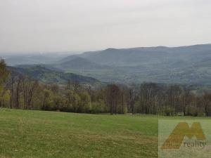 Prodej louky, Stráž nad Ohří, 38747 m2