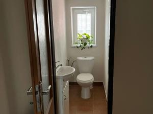 Pronájem bytu 2+kk, Bohumín, Studentská, 60 m2