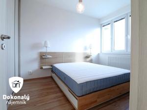 Pronájem bytu 2+kk, Praha - Vysočany, Freyova, 45 m2