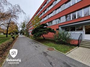 Pronájem bytu 2+kk, Benátky nad Jizerou, Platanová, 35 m2