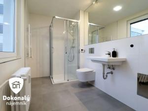 Pronájem bytu 2+kk, Praha - Chodov, Čenětická, 32 m2