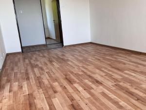 Pronájem bytu 4+1, Litvínov - Janov, Hamerská, 72 m2