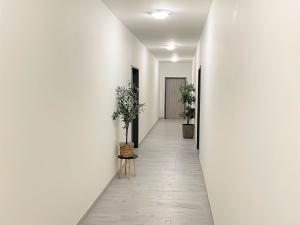 Pronájem bytu 2+kk, Borovany - Trocnov, 46 m2