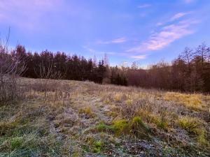 Prodej pozemku pro bydlení, Žandov, 3647 m2