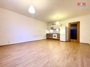 Pronájem bytu 1+kk, Praha, Hanusova, 38 m2