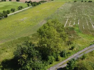 Dražba louky, Žlutice, 4670 m2