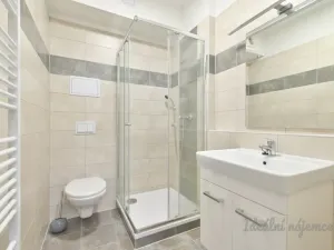 Pronájem bytu 2+kk, Brno, Havránkova, 39 m2