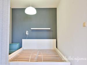 Pronájem bytu 1+kk, Brno - Královo Pole, Mojžíšova, 62 m2