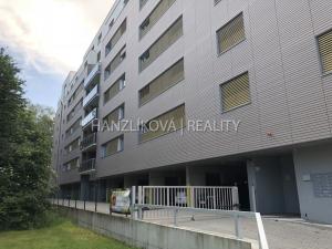 Pronájem bytu 1+kk, České Budějovice - České Budějovice 2, 42 m2