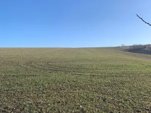 Prodej pozemku pro bydlení, Heršpice, 502 m2