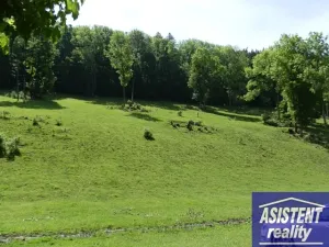 Prodej louky, Vernířovice, 75965 m2