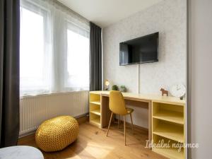 Pronájem bytu 1+kk, Praha - Vinohrady, Perucká, 25 m2