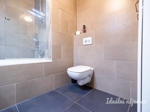 Pronájem bytu 2+kk, Praha - Žižkov, Kališnická, 47 m2