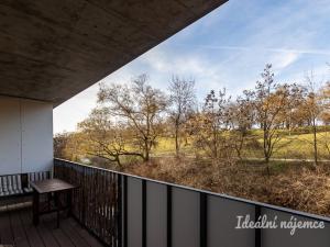 Pronájem bytu 2+kk, Praha - Žižkov, Kališnická, 47 m2