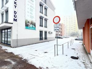 Pronájem bytu 1+1, České Budějovice - České Budějovice 7, Lidická tř., 41 m2