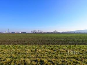 Prodej pozemku pro bydlení, Kroměříž - Vážany, 29677 m2