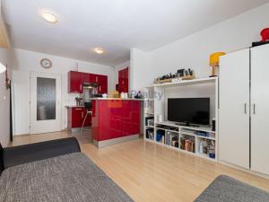 Pronájem bytu 1+kk, Praha - Michle, Elektrárenská, 34 m2