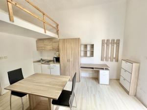 Pronájem bytu 1+kk, Brno, Václavská, 20 m2