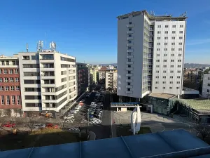 Pronájem bytu 1+1, Brno, Kounicova, 53 m2