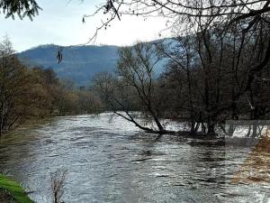 Prodej louky, Stráž nad Ohří, 14614 m2