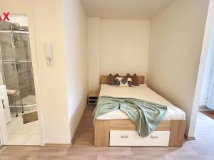 Pronájem bytu 1+kk, Olomouc - Povel, Vratislavova, 24 m2