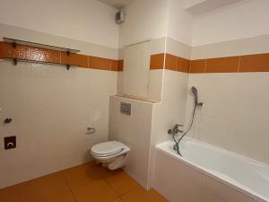 Pronájem bytu 1+kk, Olomouc - Nové Sady, Družební, 38 m2