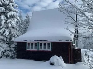 Prodej rodinného domu, Janské Lázně, Janská, 100 m2