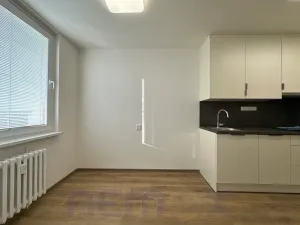 Pronájem bytu 1+1, Praha - Troja, Hnězdenská, 48 m2