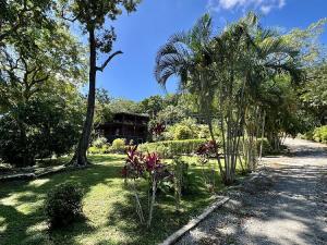 Prodej chaty, Punta Blanca, José Santos Guardiola, Honduras, 232 m2