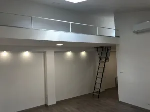 Pronájem bytu 1+kk, Brno, Křenová, 40 m2