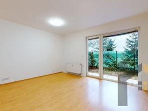 Pronájem bytu 1+kk, Praha - Horní Měcholupy, R.A. Dvorského, 33 m2