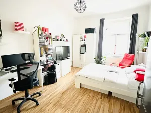 Pronájem bytu 1+kk, Praha - Žižkov, Fibichova, 35 m2