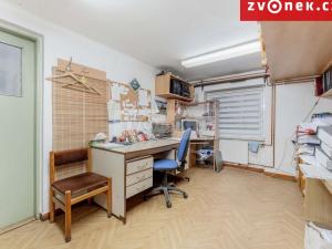 Prodej obchodního prostoru, Lutonina, 750 m2