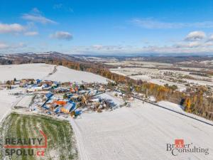 Prodej zemědělské usedlosti, Doubravice - Zálesí, 700 m2