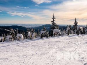 Prodej bytu 4+kk, Zlaté Hory, Na Okálech, 138 m2