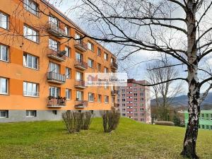 Pronájem bytu 3+1, Klášterec nad Ohří, Pod Stadionem, 65 m2