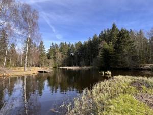 Prodej rodinného domu, Strašín - Maleč, 164 m2