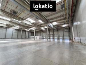 Pronájem skladu, Kadaň, Královský Vrch, 4000 m2